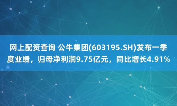 网上配资查询 公牛集团(603195.SH)发布一季度业绩，归母净利润9.75亿元，同比增长4.91%