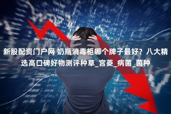 新股配资门户网 奶瓶消毒柜哪个牌子最好？八大精选高口碑好物测评种草_宫菱_病菌_菌种