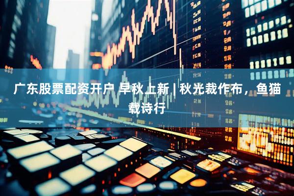 广东股票配资开户 早秋上新 | 秋光裁作布，鱼猫载诗行